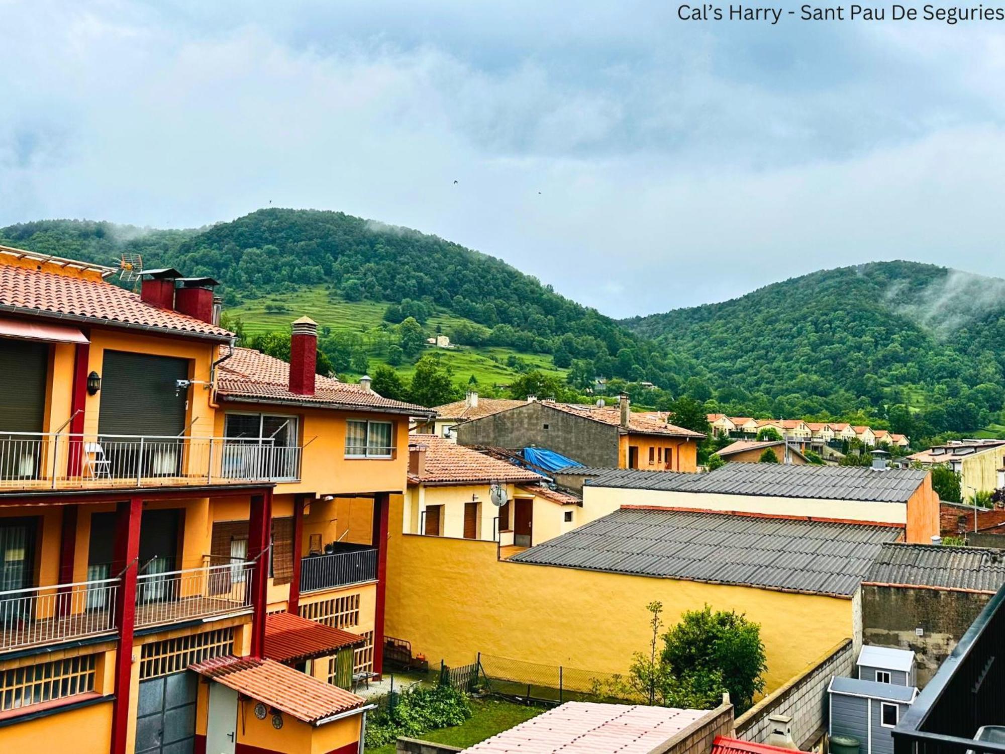 Cal Harrys - La Mejor Casa De Vacaciones En Pyrenees Con Vistas A La Montana Sant Pau de Seguries Exteriör bild